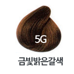 5G