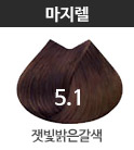 5.1 잿빛밝은갈색