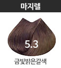 5.3 금빛밝은갈색