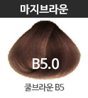 B5.0 쿨브라운