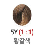 5Y 황갈색 (1:1)