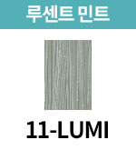 11-LUMI