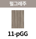 [올디브] 11-pGG