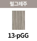 [올디브] 13-pGG