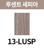 [올디브] 13-LUSP