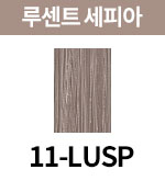 [올디브] 11-LUSP