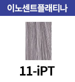 [올디브] 11-iPT