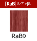 [프리미언스] RaB9