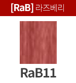 [프리미언스] RaB11