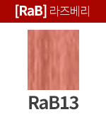 [프리미언스] RaB13