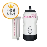 [시세이도] 프리미언스 엔리치 염색약 80g (★12개당 산화제 1000ml 1개) ★미용실회원가★